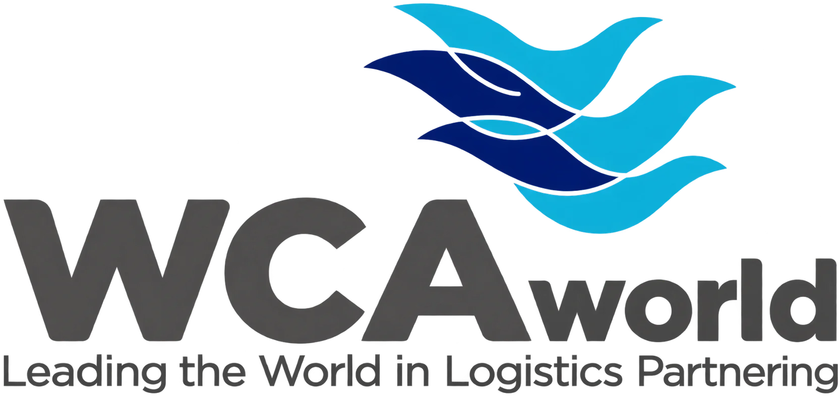 WCAworld